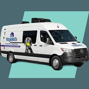 Wag’n Tails Mobile Conversions