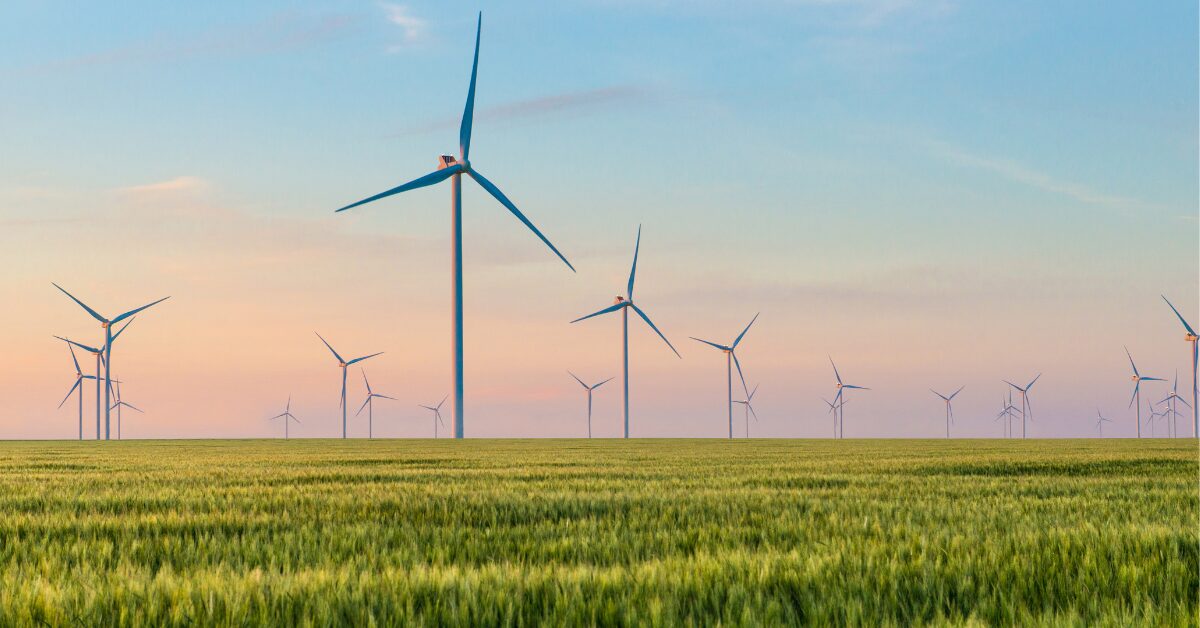 wind farm
