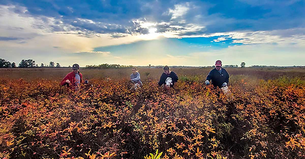 Newton County Student Conservation Internship Pilot Program