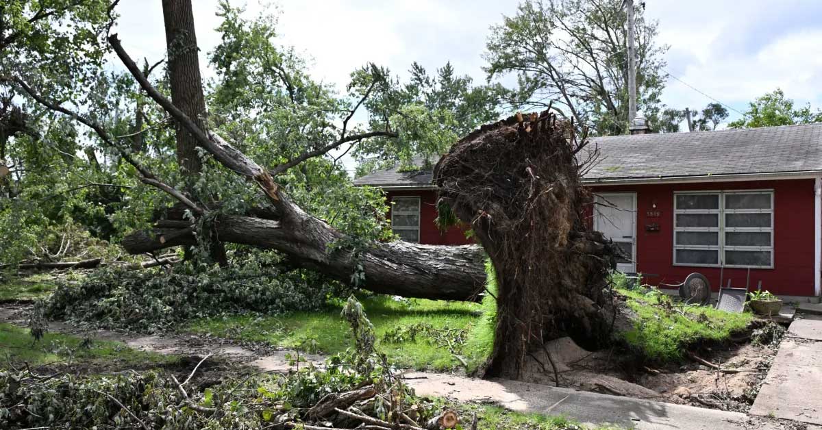 Javonte Anderson/Capital B